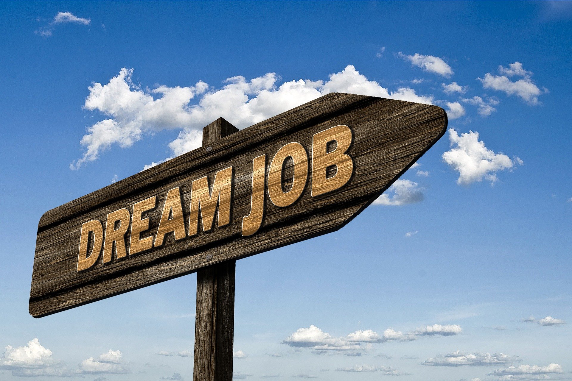 Jobs bei SHA
